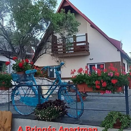A Bringas Apartman 巴拉顿菲赖德 外观 照片